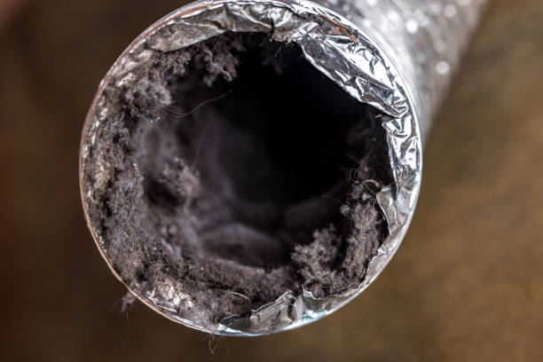 Best Air Vent Cleaning Services  in Huntingdon, TN